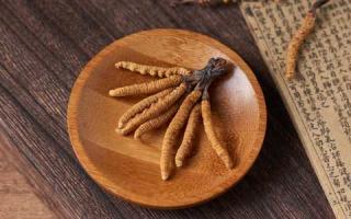新鮮冬蟲夏草有哪些優(yōu)勢？