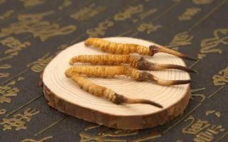 詳細(xì)介紹冬蟲夏草一天吃幾根？