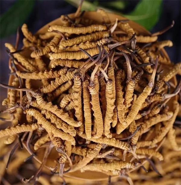 冬蟲夏草和西瓜子可以一起食用。冬蟲夏草被認為具有滋陰補腎、益氣養(yǎng)血的作用，而西瓜子富含蛋白質(zhì)、脂肪、維生素B、鎂等營養(yǎng)物質(zhì)，有助于促進消化、補充能量等。