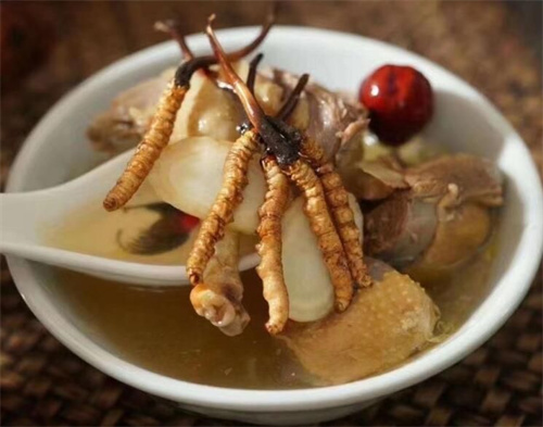 冬蟲(chóng)夏草可以燉海鯽魚(yú)嗎？