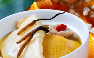 冬蟲夏草每天什么時(shí)候吃最好？一文詳解最佳食用時(shí)間