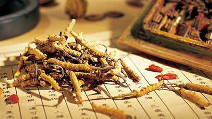 冬蟲夏草是什么長成的？揭秘其獨(dú)特的生長歷程