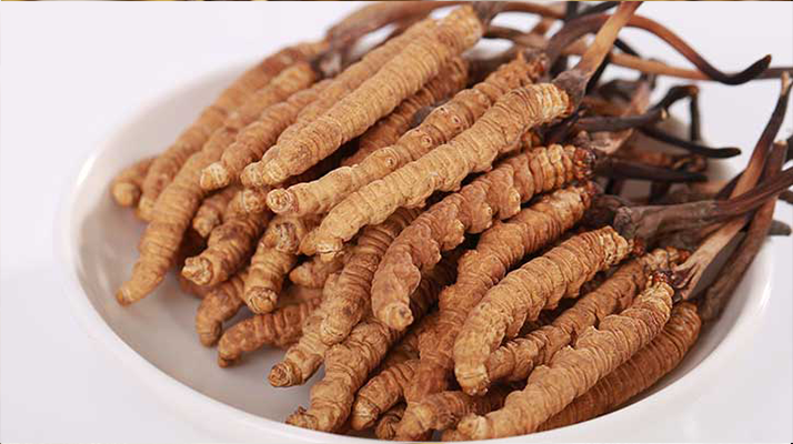 冬蟲夏草燉水鴨，搭配這些食材更滋補(bǔ)