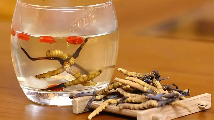 冬蟲(chóng)夏草與枸杞能一起泡酒嗎？科學(xué)搭配與飲用指南
