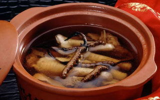 糖尿病可服用冬蟲夏草嗎？科學(xué)解析其調(diào)理價(jià)值與注意事項(xiàng)