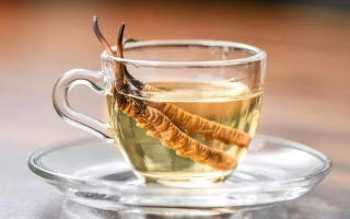 一斤白酒泡多少冬蟲夏草合適？科學(xué)配比與泡制指南