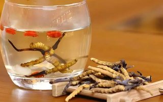 長期喝冬蟲夏草泡水好嗎？科學分析與飲用指南