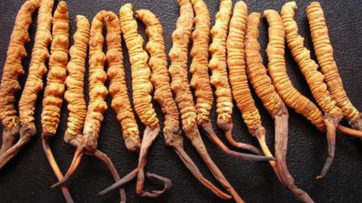 新鮮<a href=http://m.the-space-invaders-movie.com/gongxiao/ target=_blank class=infotextkey><a href=http://m.the-space-invaders-movie.com/gongxiao/ target=_blank class=infotextkey><a href=http://m.the-space-invaders-movie.com/yangsheng/ target=_blank class=infotextkey>冬蟲(chóng)夏草的功效</a></a></a>與作用:活性保留更完整,解鎖天然滋補(bǔ)新價(jià)值