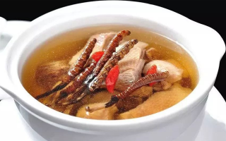 冬蟲夏草怎樣燉是最好的？掌握這幾步，營養(yǎng)不流失還美味