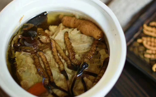 冬蟲夏草正常燉幾分鐘？掌握時長讓滋補(bǔ)更高效