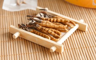 這些藥材形似冬蟲夏草，辨別要點(diǎn)需牢記