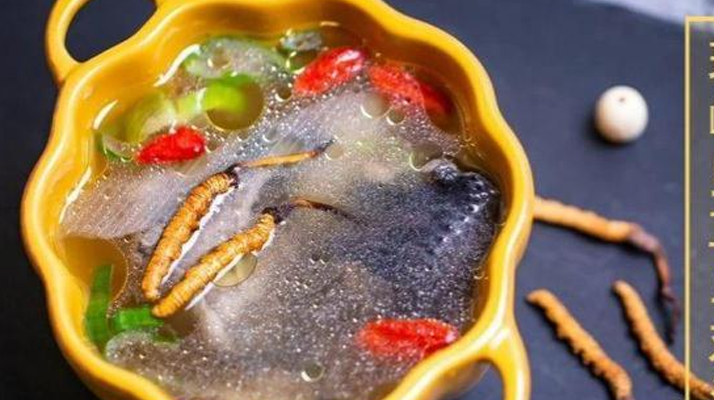 野生冬蟲夏草：副作用風(fēng)險(xiǎn)需理性看待