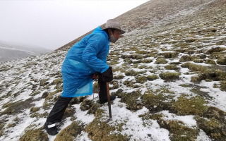 西藏挖冬蟲夏草在什么時(shí)候？產(chǎn)區(qū)與時(shí)間全攻略