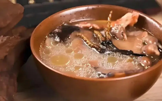 冬蟲夏草治什么病效果好？厘清輔助調(diào)理邊界與適用場(chǎng)景