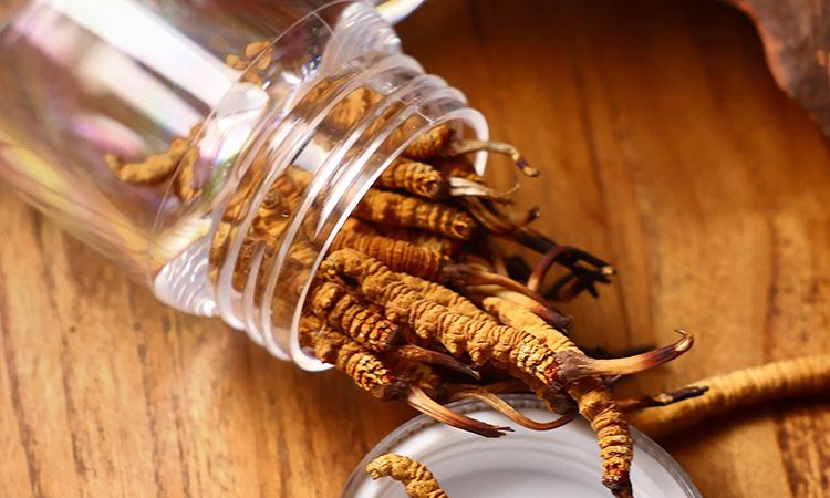 <a href=http://m.the-space-invaders-movie.com/jiage/ target=_blank class=infotextkey>冬蟲夏草多少錢</a>一條 