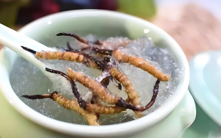 十根冬蟲(chóng)夏草能泡幾斤酒？泡酒比例與細(xì)節(jié)指南