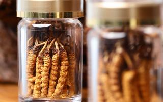 送冬蟲(chóng)夏草給男孩子好嗎？分場(chǎng)景分析 + 送禮建議