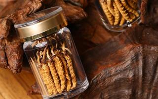 鮮冬蟲夏草泡水后怎么保存？3 種場景保存方法 + 避坑指南