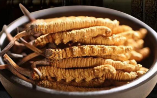 冬蟲夏草掰開后什么樣？從斷面細(xì)節(jié)識(shí)破品質(zhì)與真?zhèn)?> </div>
            <div   id=