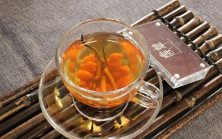 秋季進補別瞎忙！4 道冬蟲夏草配方，簡單又管用