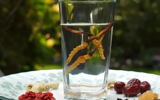 人參配蟲(chóng)草泡酒，泡多久才好喝？咱跟你說(shuō)實(shí)在的
